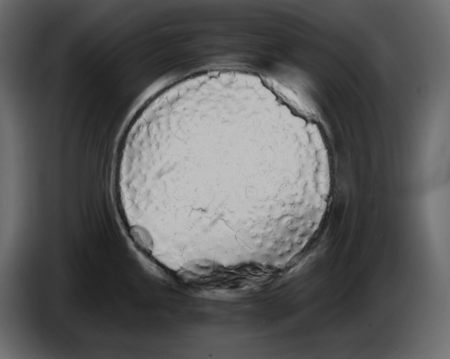 X0000084551245200703231729