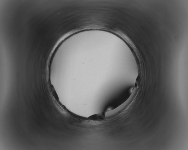 X0000084551246200703231729