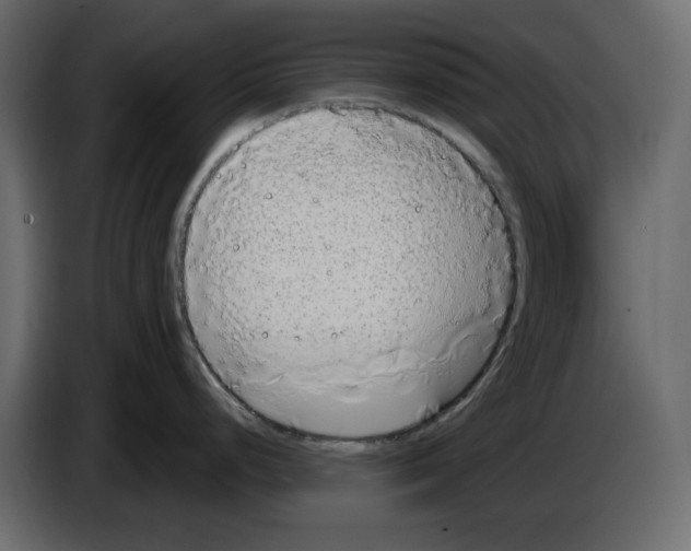 X0000084551248200703231729