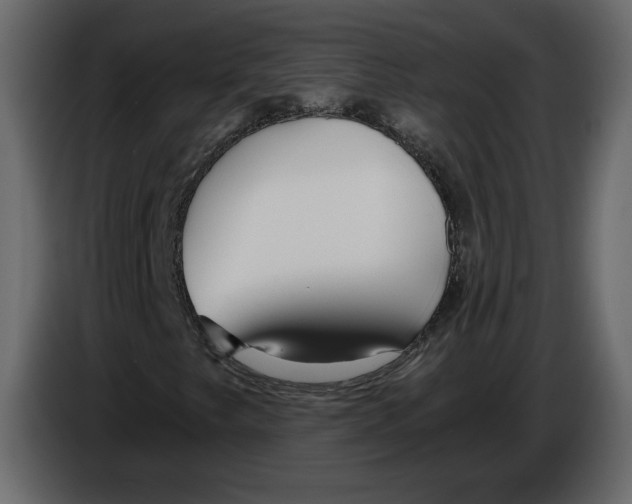 X0000084551249200703231729