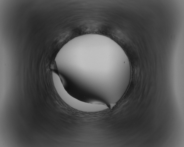 X0000084551250200703231729