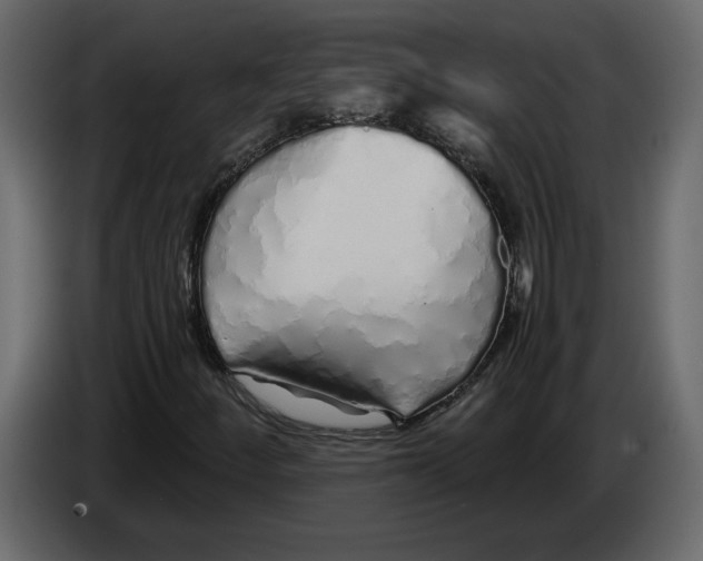 X0000084551252200703231729