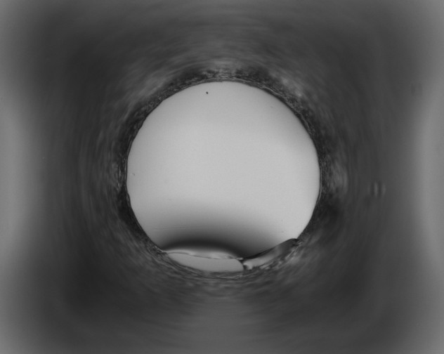 X0000084551253200703231729