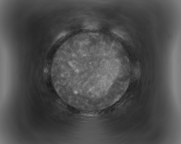 X0000084551254200703231729