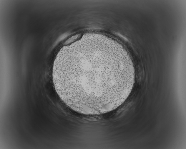 X0000084551255200703231729