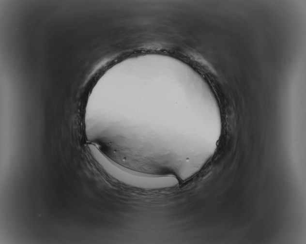 X0000084551256200703231729