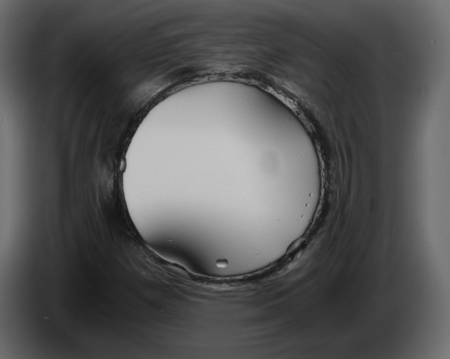 X0000084551257200703231729