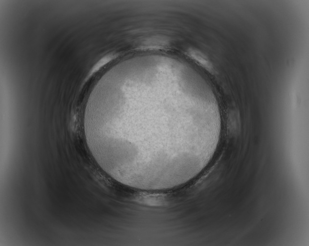 X0000084551258200703231729