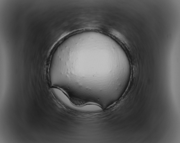 X0000084551260200703231729