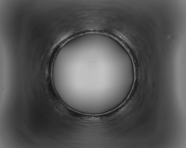 X0000084551261200703231728