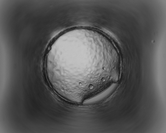 X0000084551264200703231728