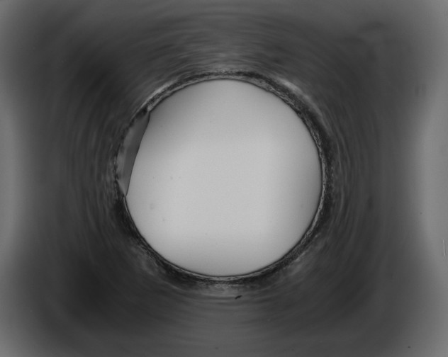 X0000084551265200703231728