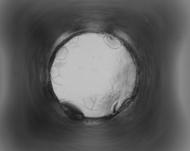 X0000084551267200703231728