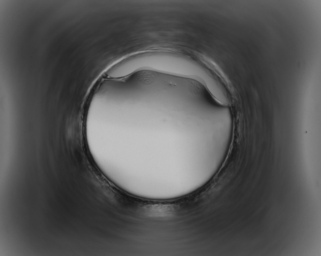 X0000084551268200703231728