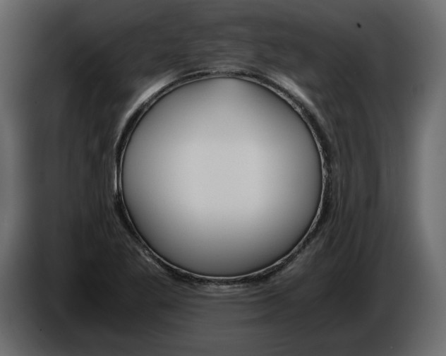 X0000084551269200703231728