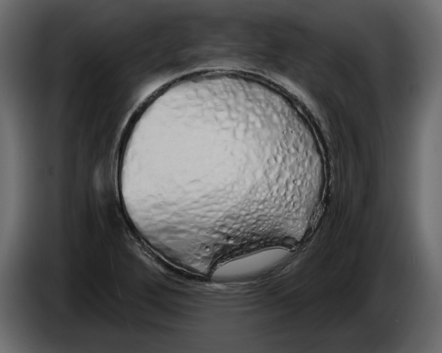 X0000084551272200703231728