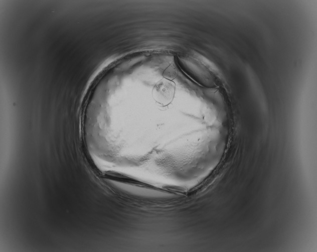 X0000084551275200703231728