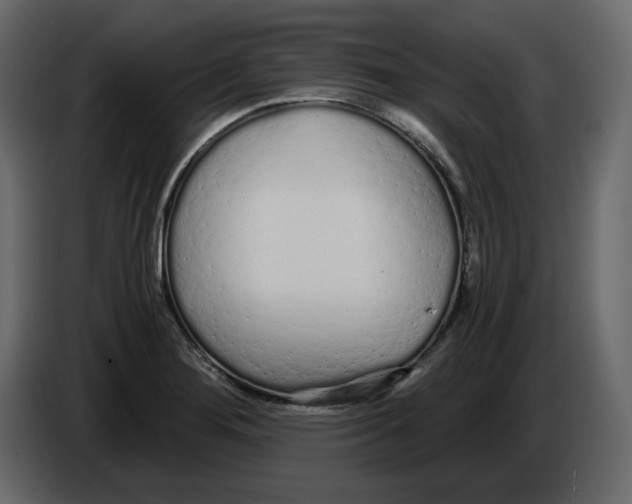 X0000084551276200703231728