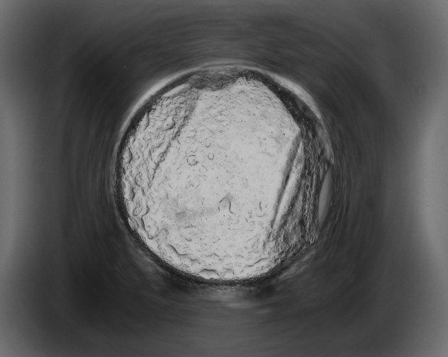 X0000084551279200703231728