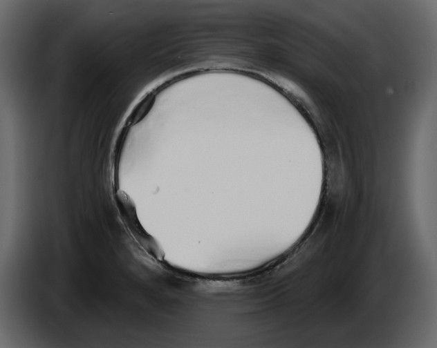 X0000084551280200703231728