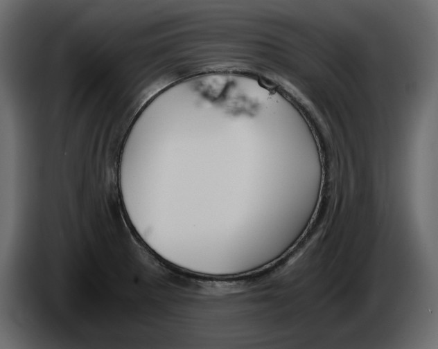 X0000084551281200703231728