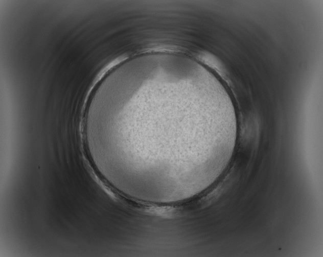 X0000084551282200703231728