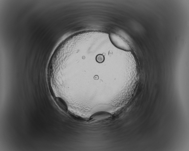 X0000084551283200703231728