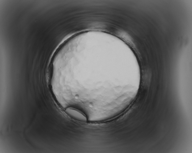 X0000084551284200703231728