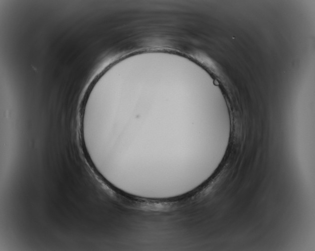 X0000084551286200703231728