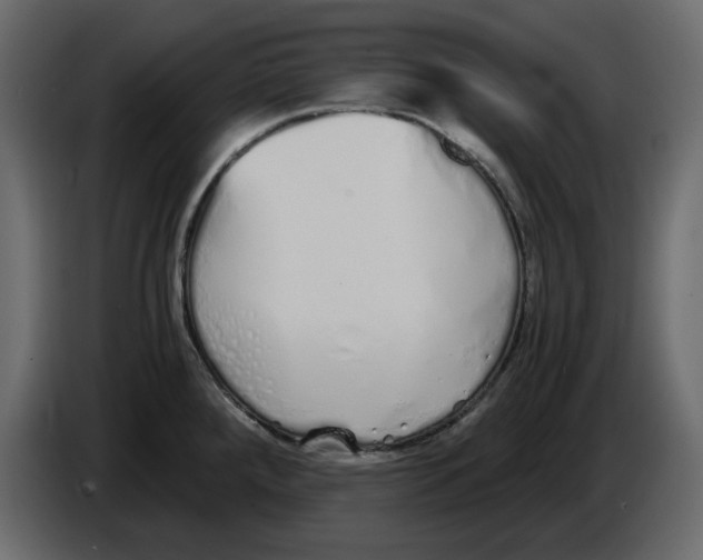 X0000084551288200703231728