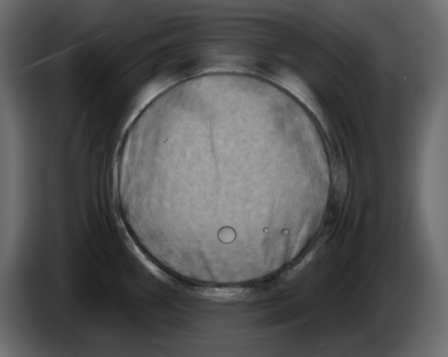 X0000084551290200703231728