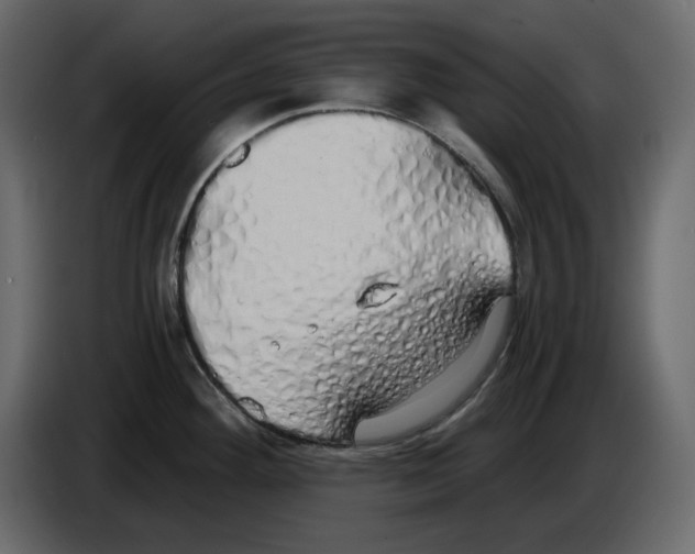 X0000084551292200703231728