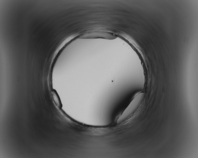 X0000084551293200703231728