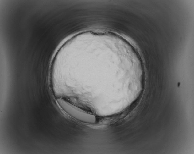 X0000084551296200703231728