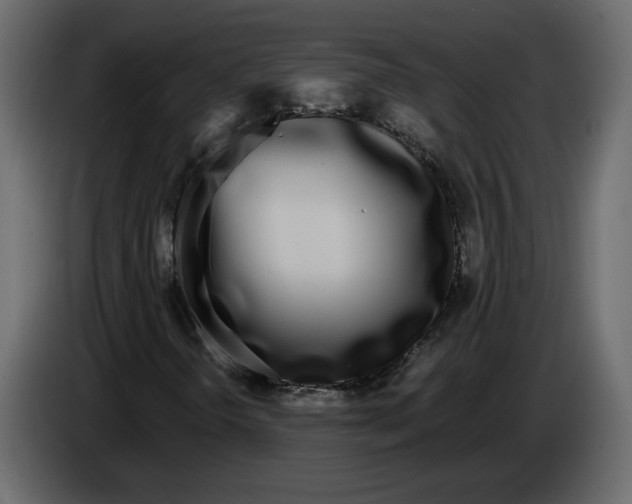 X0000084551298200703231727