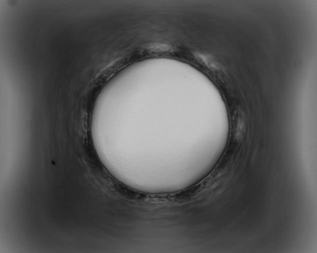 X0000084551301200703231727