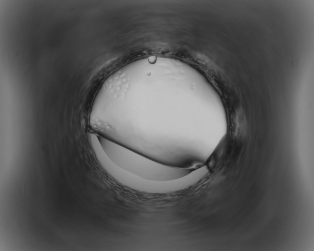 X0000084551302200703231727