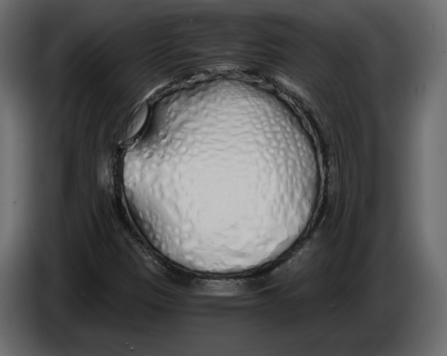 X0000084551305200703231727