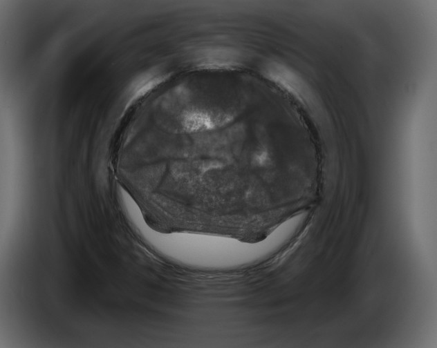 X0000084551306200703231727