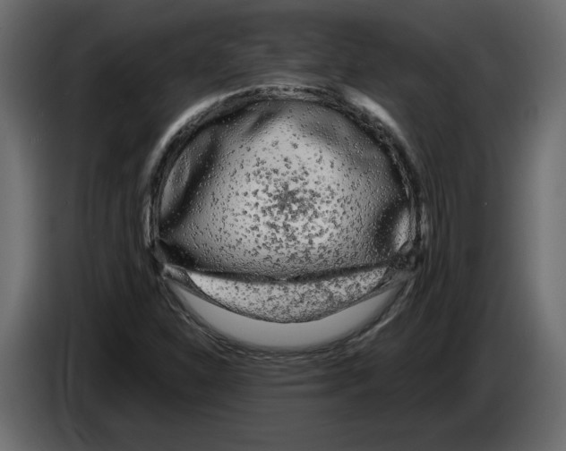 X0000084551310200703231728