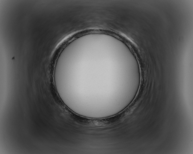 X0000084551311200703231728