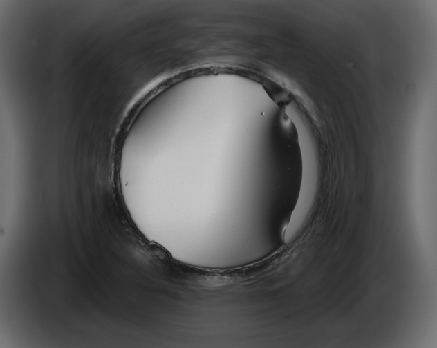 X0000084551316200703231728