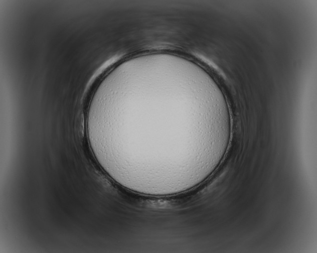 X0000084551317200703231728