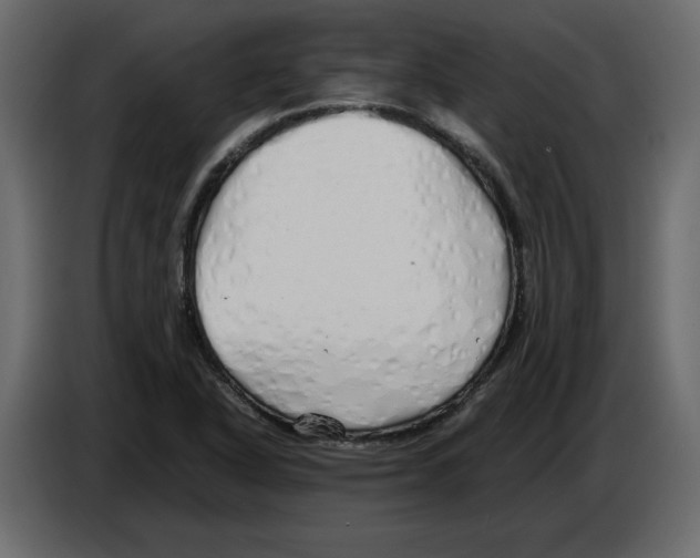 X0000084551318200703231728