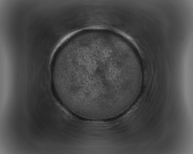 X0000084551319200703231728