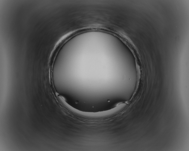 X0000084551320200703231728