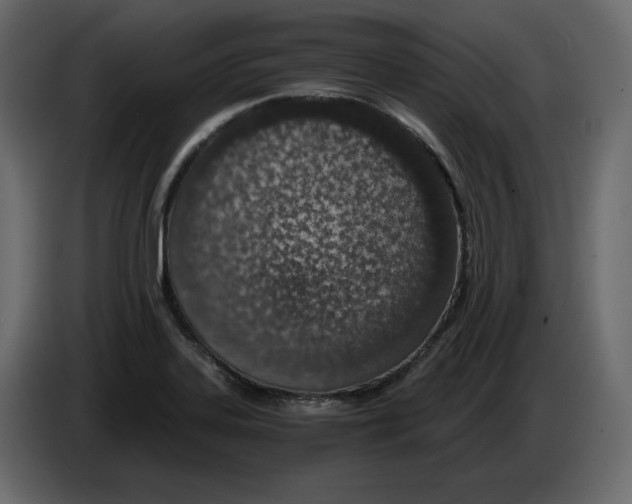 X0000084551323200703231728