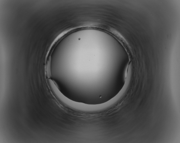 X0000084551324200703231728