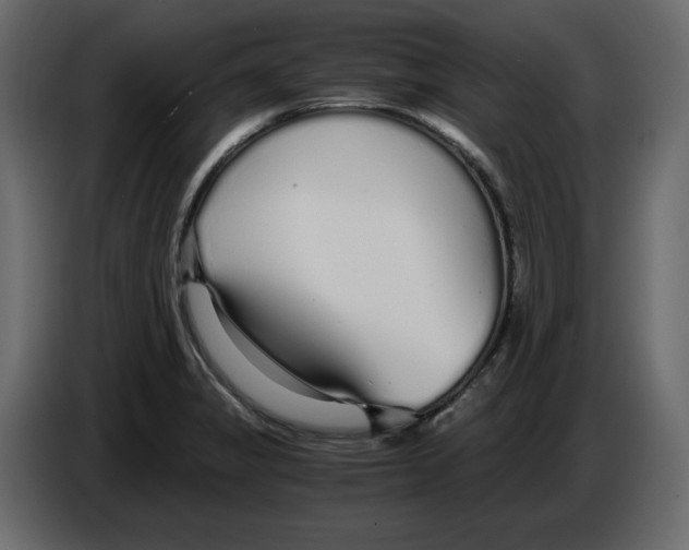 X0000084551325200703231728