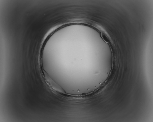 X0000084551328200703231728